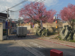 cod bo7 jubilee