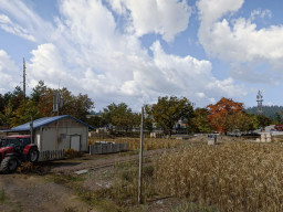 cod mw4 imjin farmland