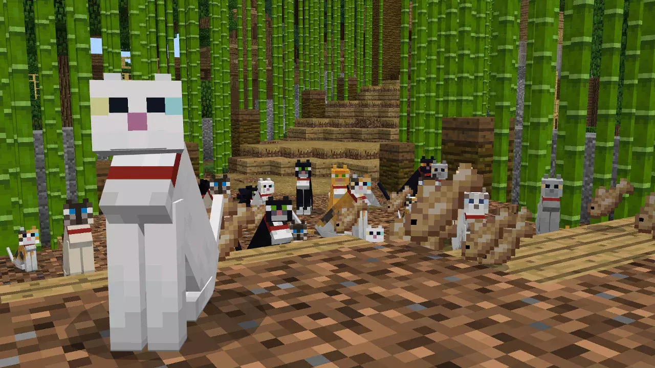 How to Tame Cats in Minecraft: The Best place to Find Them - Guides & News