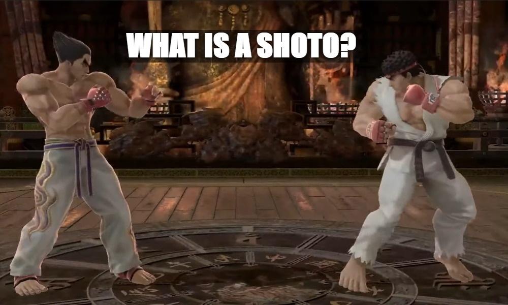 What Is A Shoto? Explaining A Common Misconception In Fighting Games