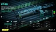 PP-29