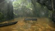 Jungle flooded