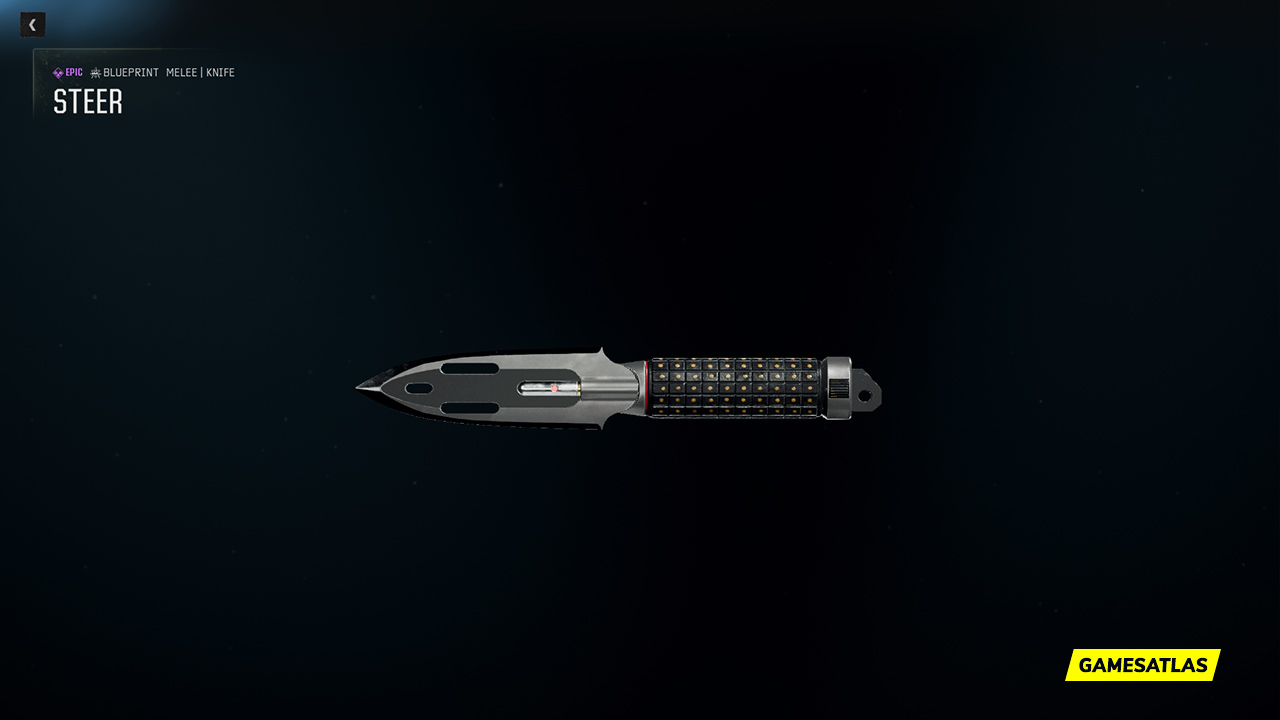Steer - Warzone and Black Ops 6 Blueprint
