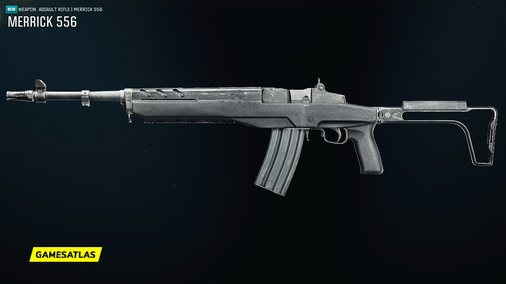 Merrick 556 - Blueprints in Warzone and Black Ops 6