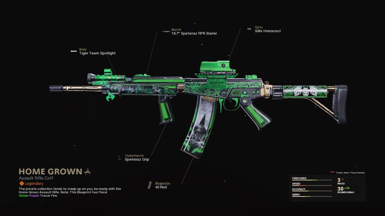Home Grown - COD Warzone and Black Ops Cold War Weapon Blueprint | Call of Duty