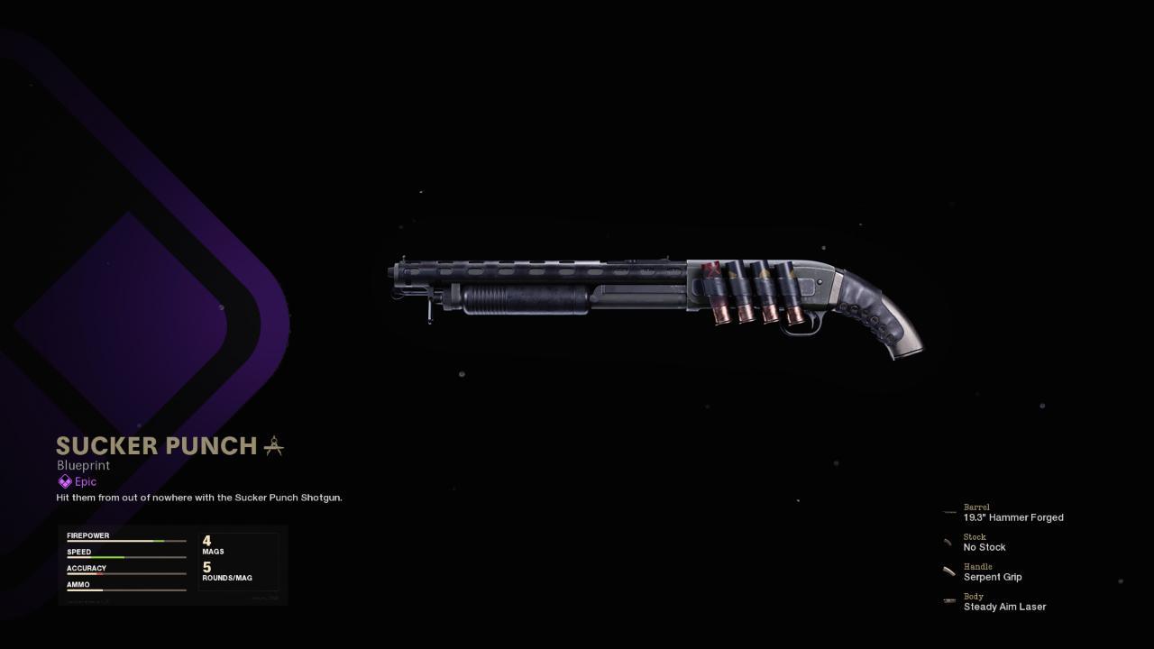 Sucker Punch - COD Warzone and Black Ops Cold War Weapon Blueprint | Call of Duty
