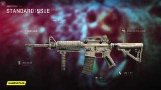Standard Issue