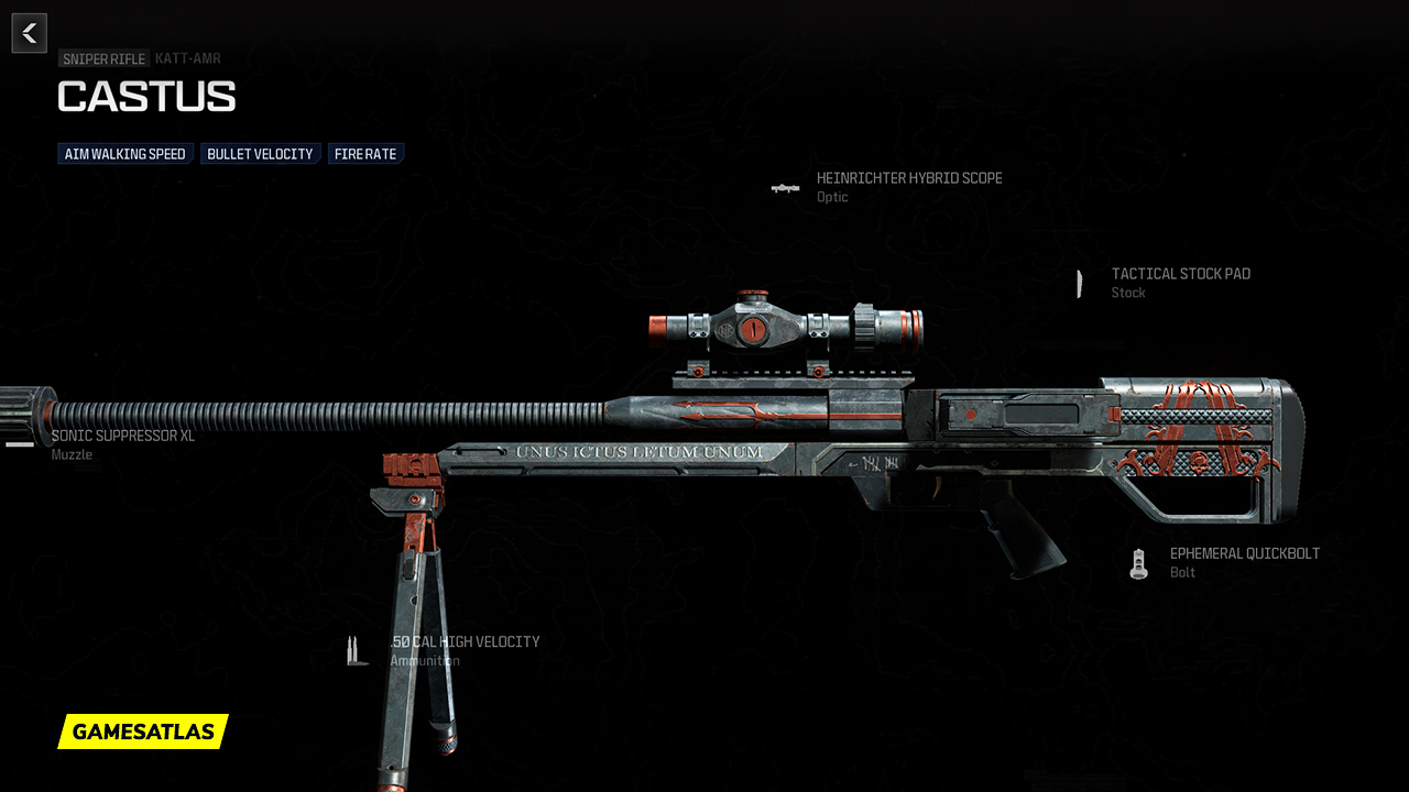 Castus - Warzone and Modern Warfare 3 Blueprint Castus - Warzone and Modern Warfare 3 Blueprint
