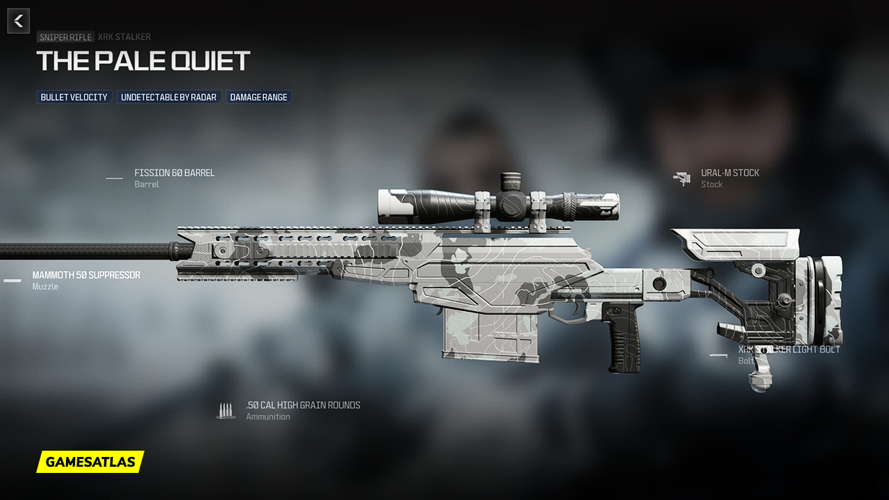 The Pale Quiet - Warzone and Modern Warfare 3 Blueprint The Pale Quiet - Warzone and Modern Warfare 3 Blueprint