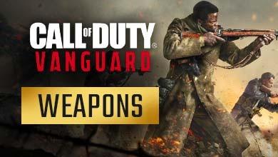 COD Vanguard Weapons