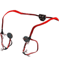 Visual Cortex Support