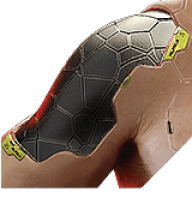 Subdermal Armor