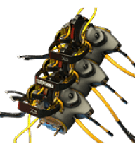 Kerenzikov