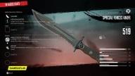 Special Forces Knife