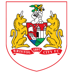 Bristol city