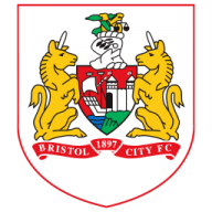 Bristol city