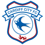 Cardiff city