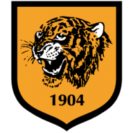 Hull city