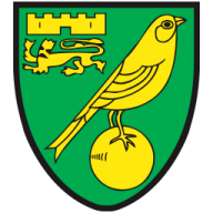 Norwich city