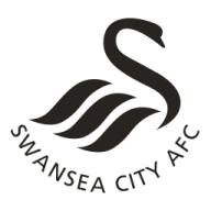 Swansea city