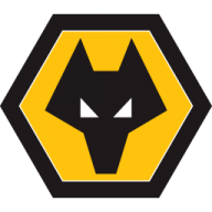 Wolverhampton wanderers