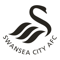 Swansea city