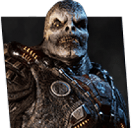 Locust Drone