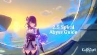 2.5 spiral abyss