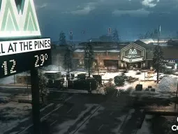 cod bo cold war the pines 1