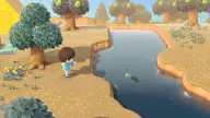 Animal crossing fishing