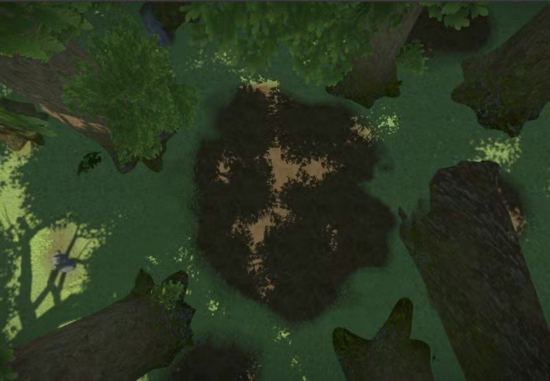 kindred forest