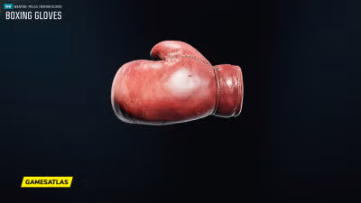 Boxing Gloves
