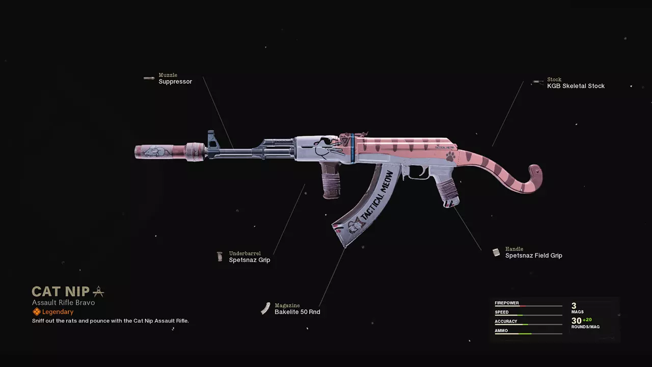 Cat Nip - COD Warzone and Black Ops Cold War Weapon Blueprint | Call of Duty Cat Nip - COD Warzone and Black Ops Cold War Weapon Blueprint | Call of Duty