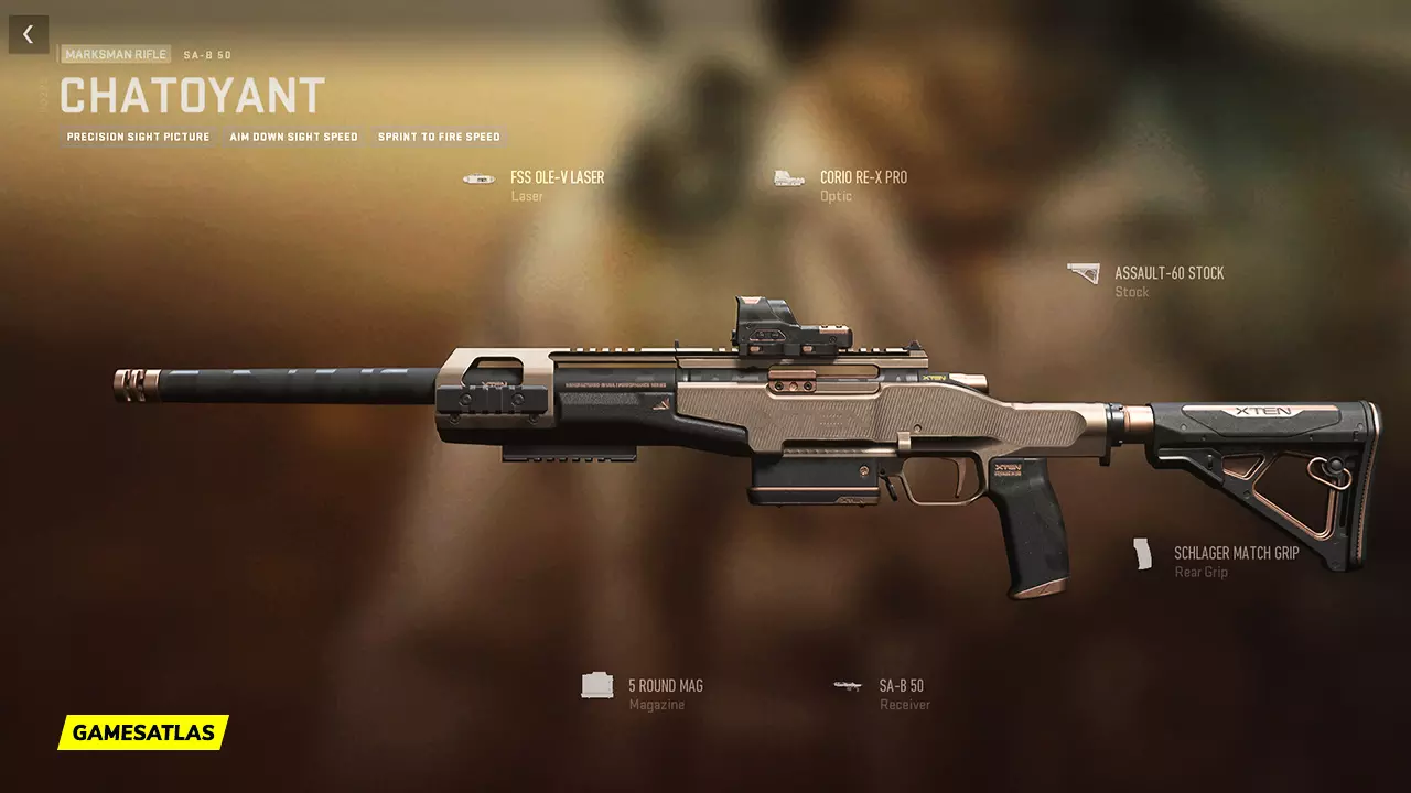 Chatoyant - Warzone and Modern Warfare 2 Blueprint Chatoyant - Warzone and Modern Warfare 2 Blueprint