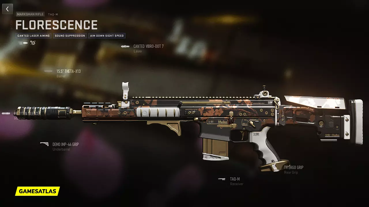 Florescense - Warzone and Modern Warfare 2 Blueprint