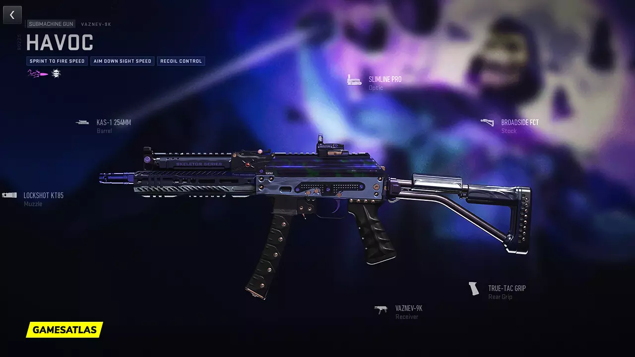 Havoc - Warzone and Modern Warfare 2 Blueprint