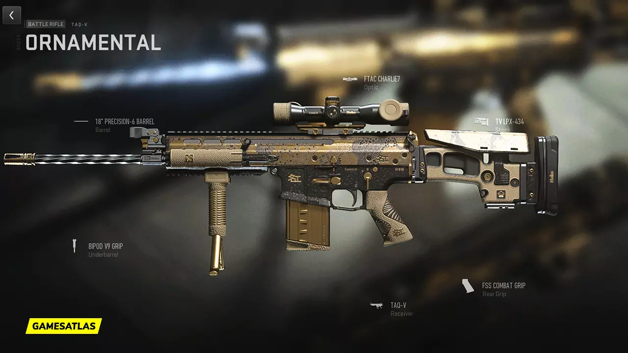 Ornamental - Warzone and Modern Warfare 2 Blueprint