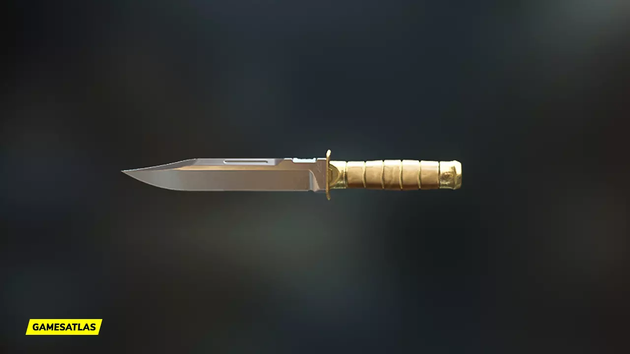 Scratch (V2) - Warzone and Modern Warfare 2 Blueprint