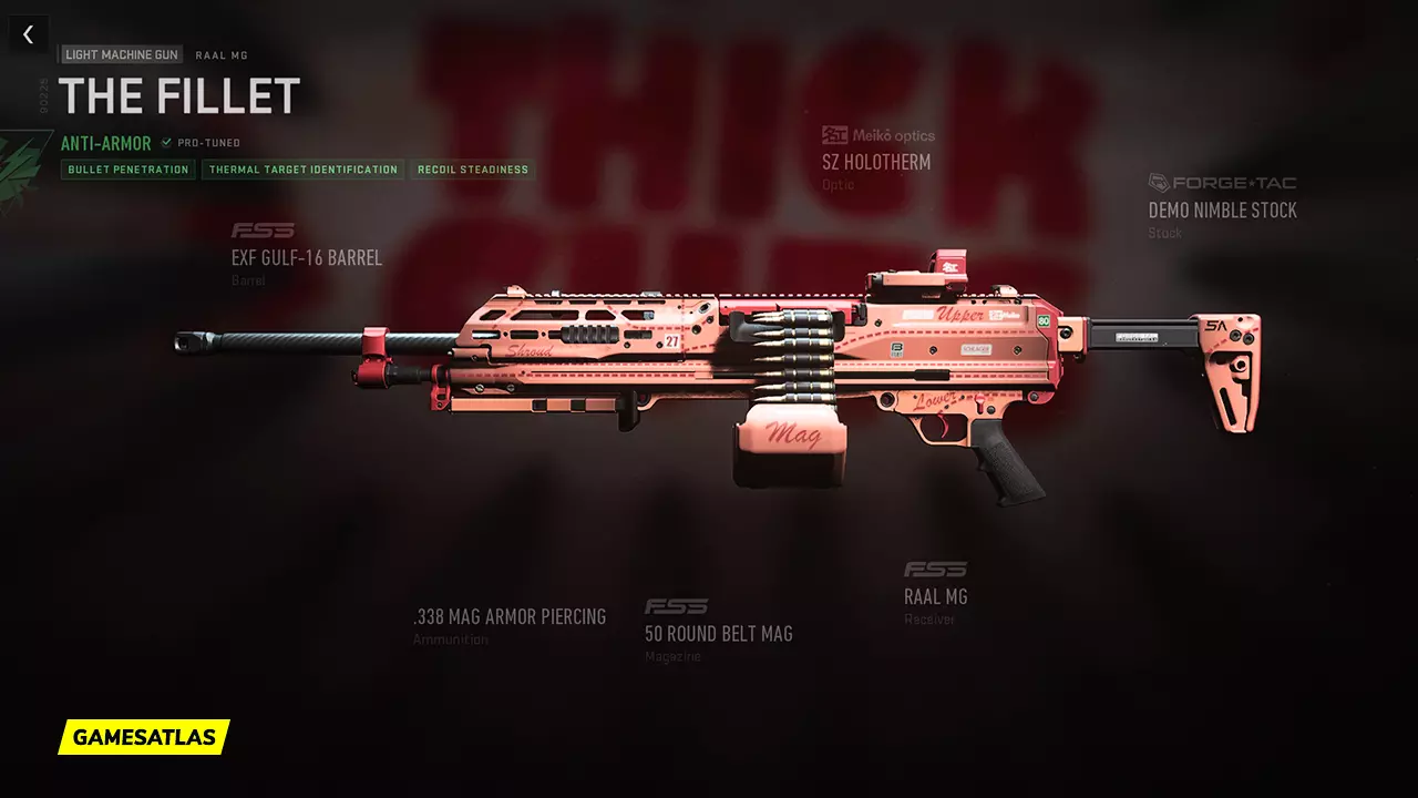 The Fillet - Warzone and Modern Warfare 2 Blueprint The Fillet - Warzone and Modern Warfare 2 Blueprint