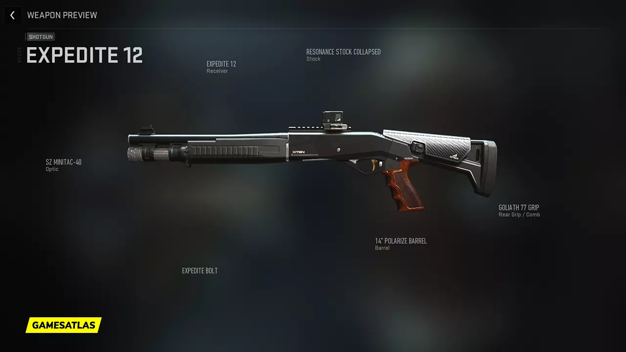 Vigilant - Warzone and Modern Warfare 2 Blueprint