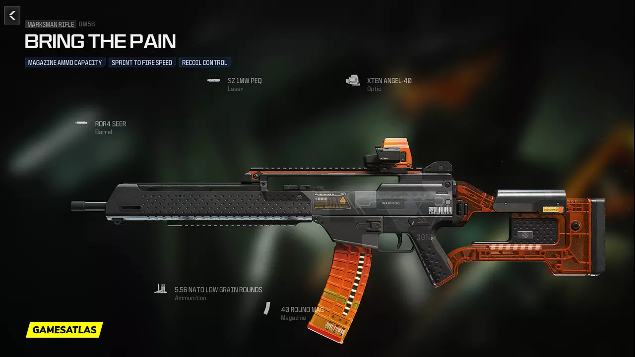 Bring The Pain - Warzone and Modern Warfare 3 Blueprint