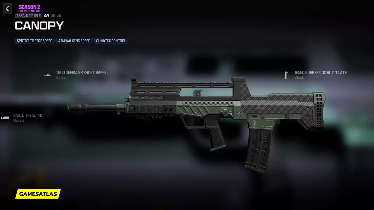 Canopy - Warzone and Modern Warfare 3 Blueprint