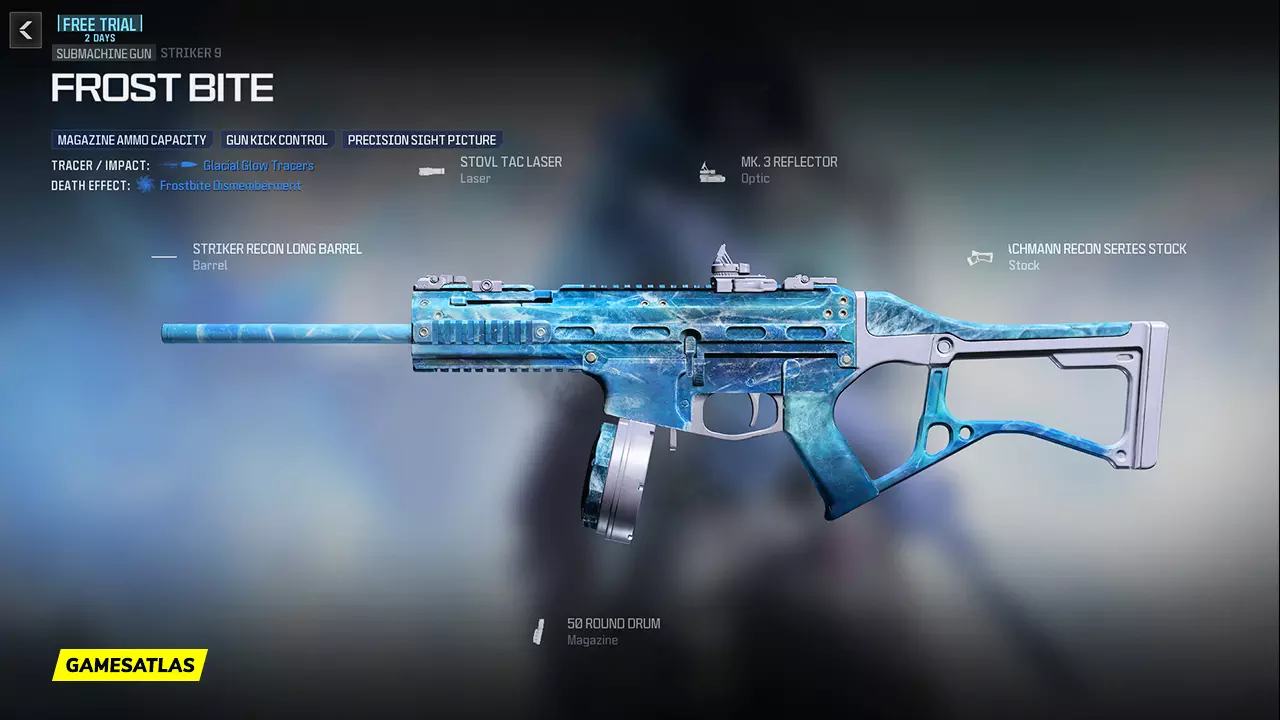 Frost Bite - Warzone and Modern Warfare 3 Blueprint