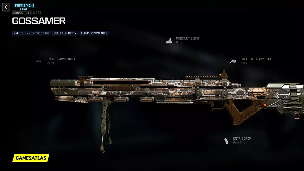 Gossamer - Warzone and Modern Warfare 3 Blueprint