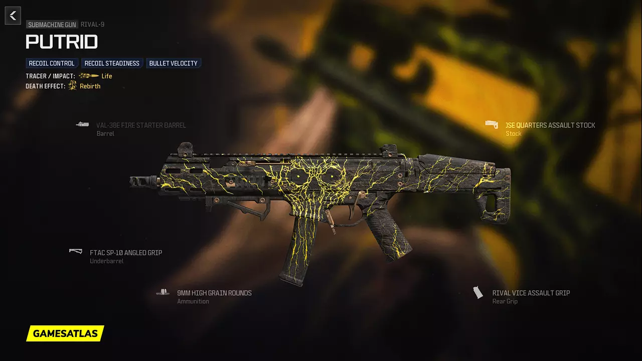 Putrid - Warzone and Modern Warfare 3 Blueprint Putrid - Warzone and Modern Warfare 3 Blueprint