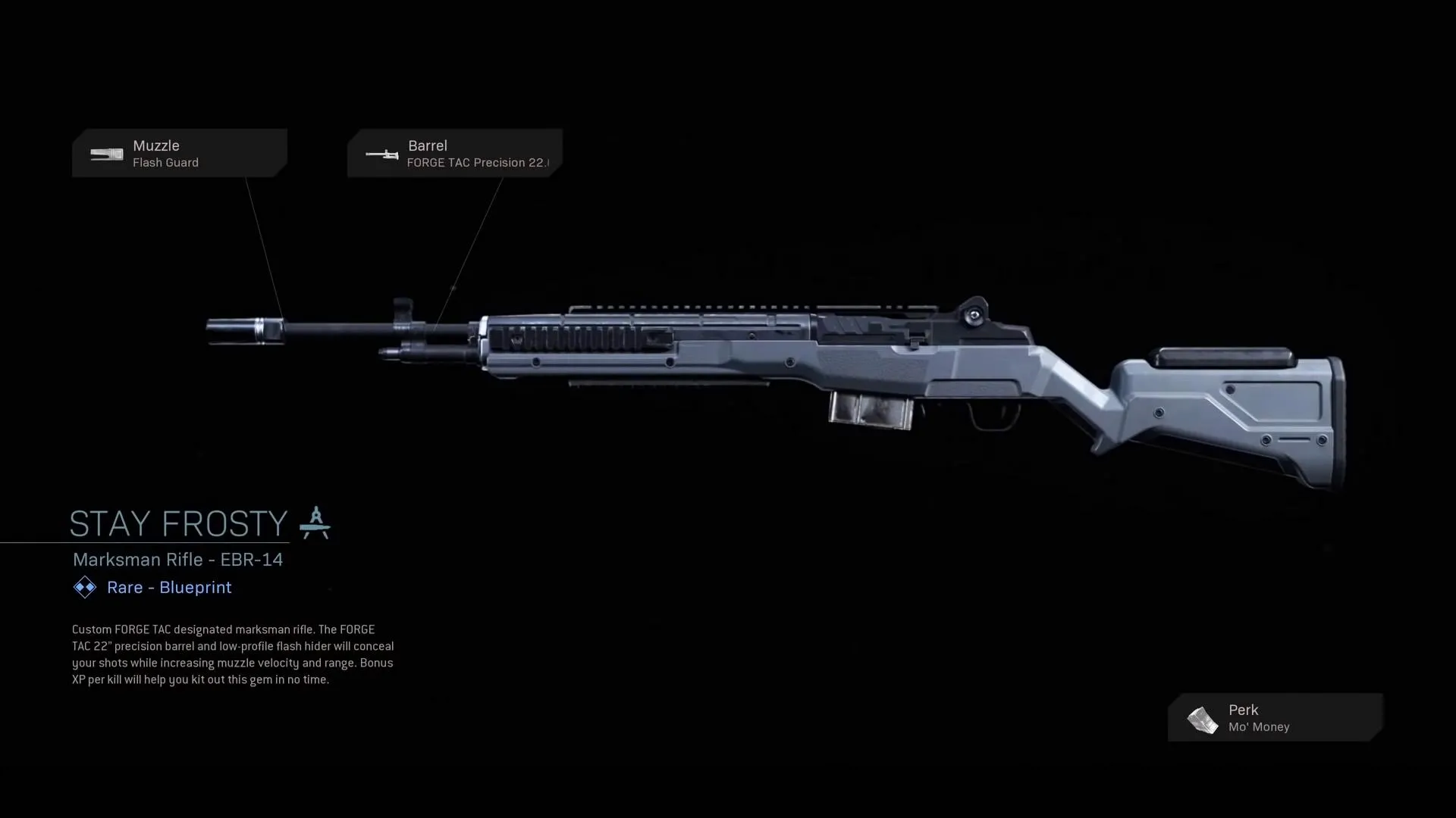 Stay Frosty - COD Warzone and Modern Warfare Weapon Blueprint | Call of Duty