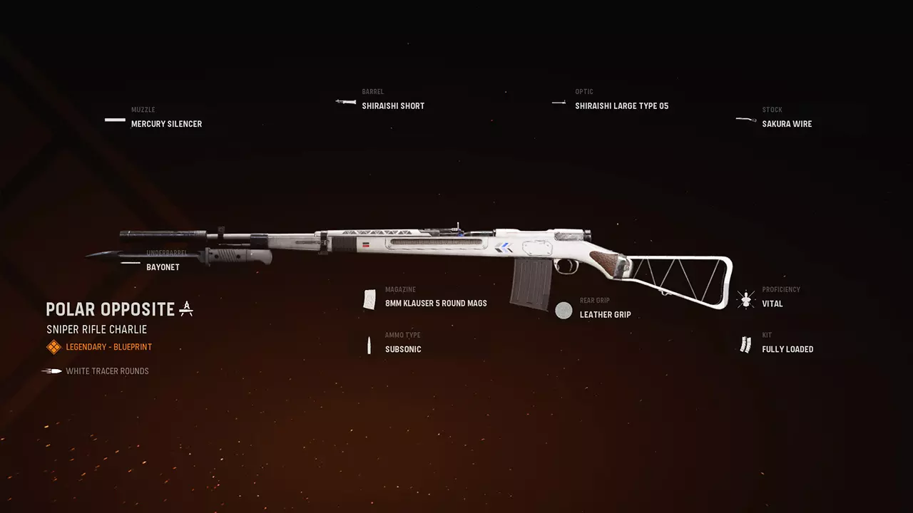Polar Opposite - COD Warzone and Vanguard Weapon Blueprint | Call of Duty