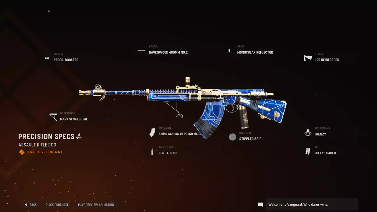 Precision Specs - COD Warzone and Vanguard Weapon Blueprint | Call of Duty
