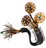 Limbic System Enhancement Limbic System Enhancement
