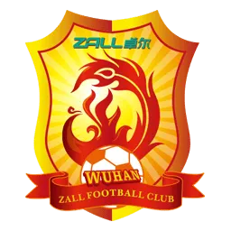 Wuhan zall